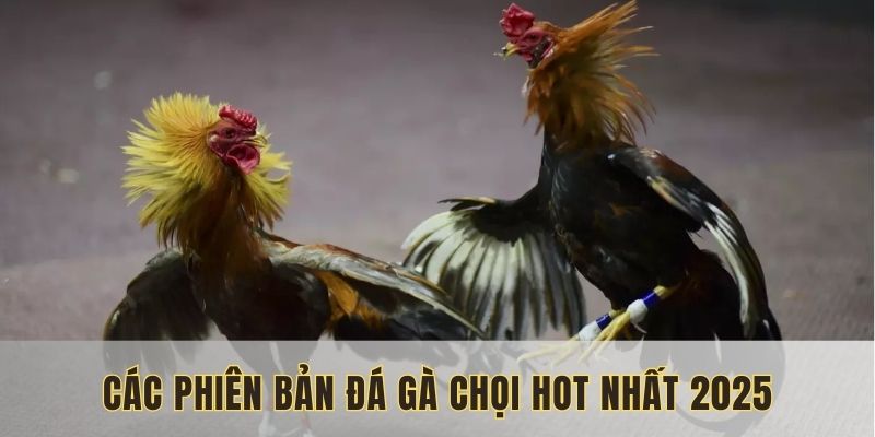 Loại hình đá gà chọi phổ biến
