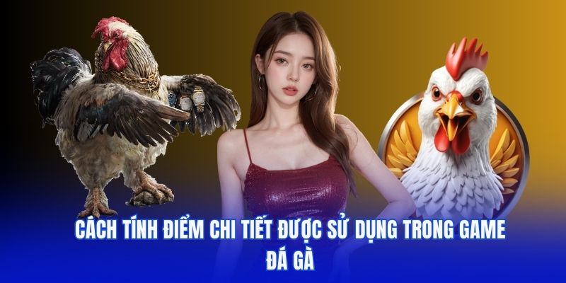 game đá gà QH88 - cách tính điểm
