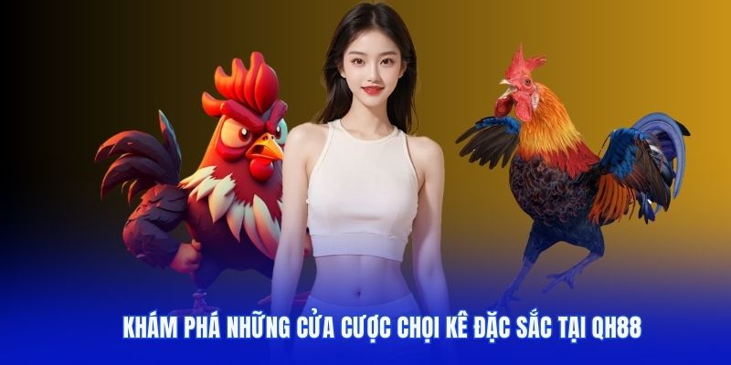 game đá gà QH88 có nhiều loại hình cược hấp dẫn
