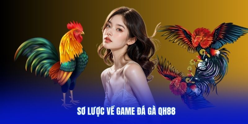 đôi nét về game đá gà QH88